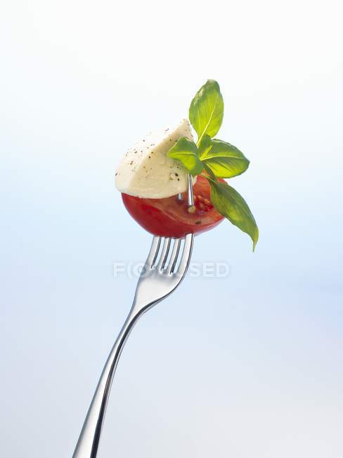 Моцарелла и помидор с базиликом на вилке — стоковое фото