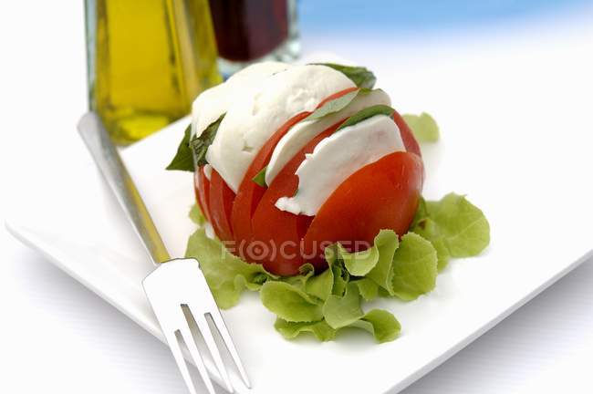 Tomates fraîches avec mozzarella et basilic — Photo de stock