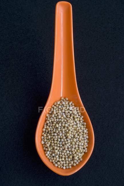 Mustard seeds on orange spoon — Stock Photo