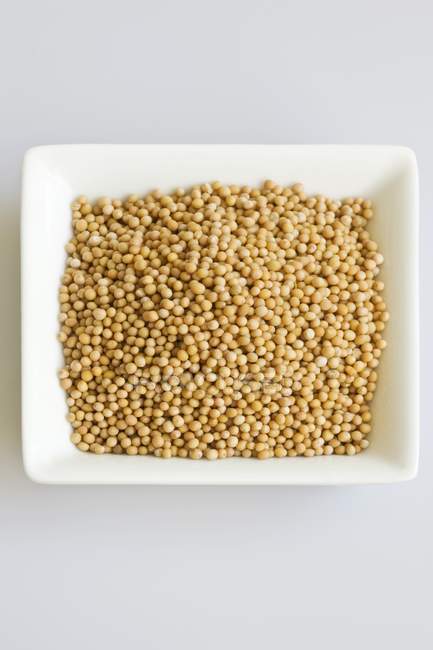 Семена горчицы в маленькой белой тарелке — стоковое фото