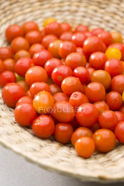 Tomates de cóctel rojo - foto de stock