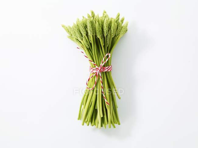 Paquet d'asperges sauvages — Photo de stock