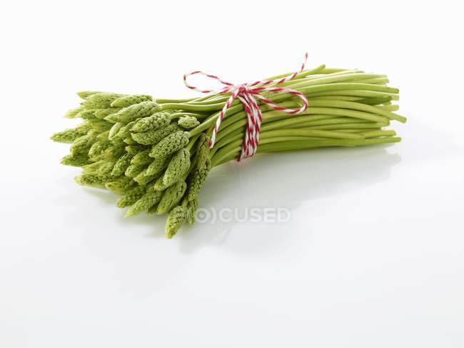 Bundle of wild asparagus — Stock Photo