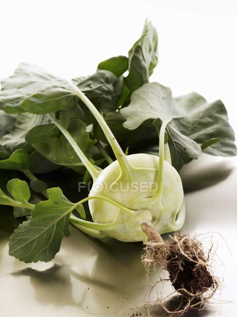 Fresh picked kohlrabi with leaves and roots — Stock Photo