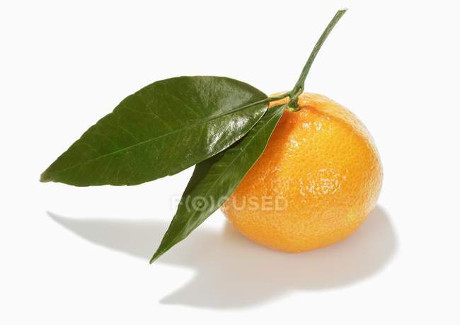 Мандарин оранжевый с листьями — стоковое фото