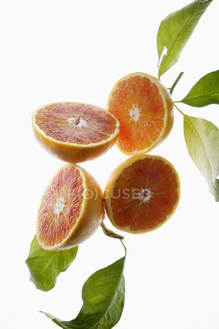 Апельсини роздвоєна крові — стокове фото