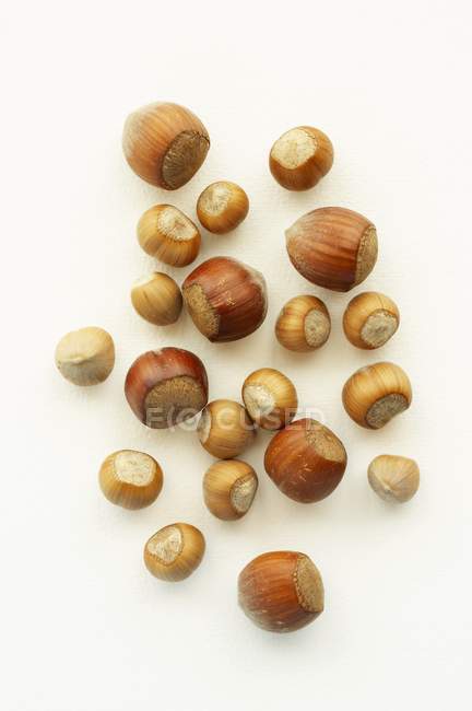 Different types of hazelnuts — Stock Photo
