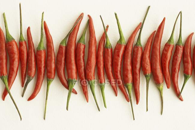 Peperoncini rossi — Foto stock