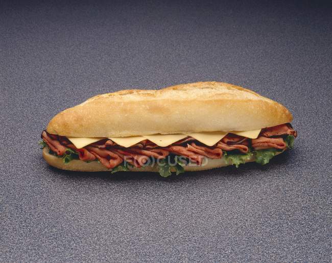 Cheese Submarine Sandwich — Stock Photo