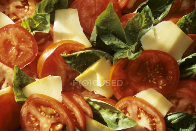 Салат з помідорів, нарізаних — стокове фото