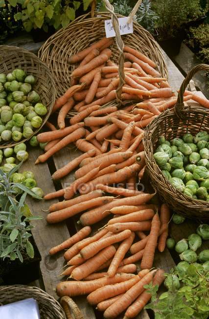 Zanahorias y coles de Bruselas - foto de stock