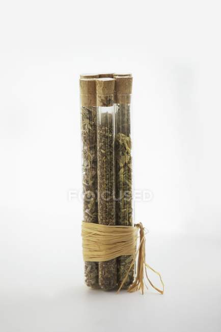 Ervas secas sortidas em tubos de vidro amarrados em um fundo branco — Fotografia de Stock