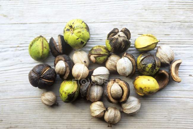 Closeup top view of wild Hickory nuts on wooded surface — Stock Photo