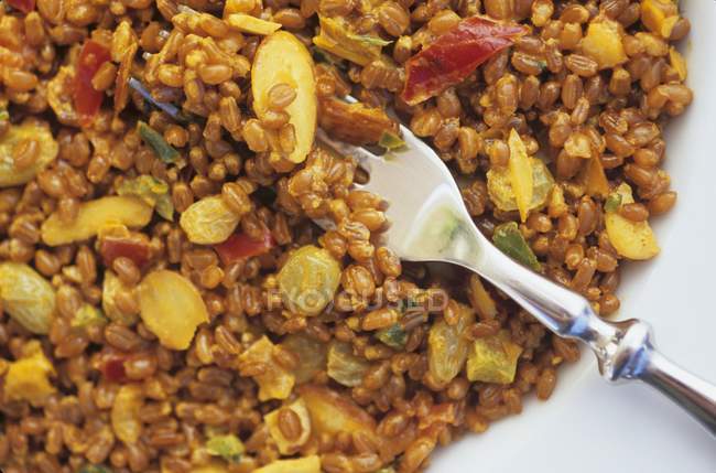 Curried wheatberry salad with fork — Stock Photo