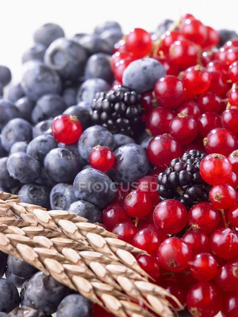 Mixed summer berries and wheat — Stock Photo
