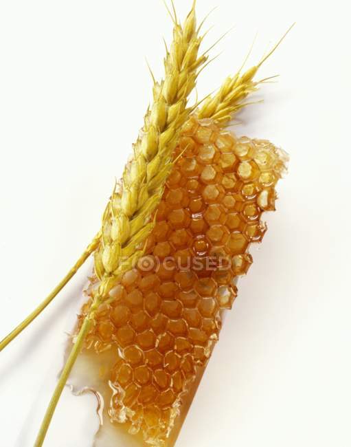 Pente de mel e orelhas de cereais — Fotografia de Stock