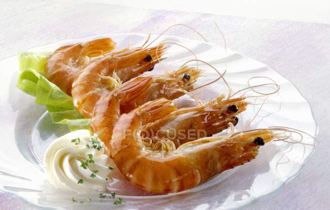 Shrimps with horseradish cream — Stock Photo