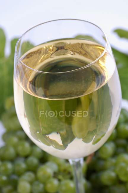 Copa de vino blanco y uvas verdes - foto de stock