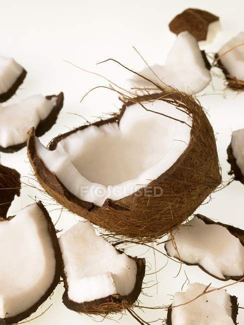 Coco rodeado de trozos - foto de stock