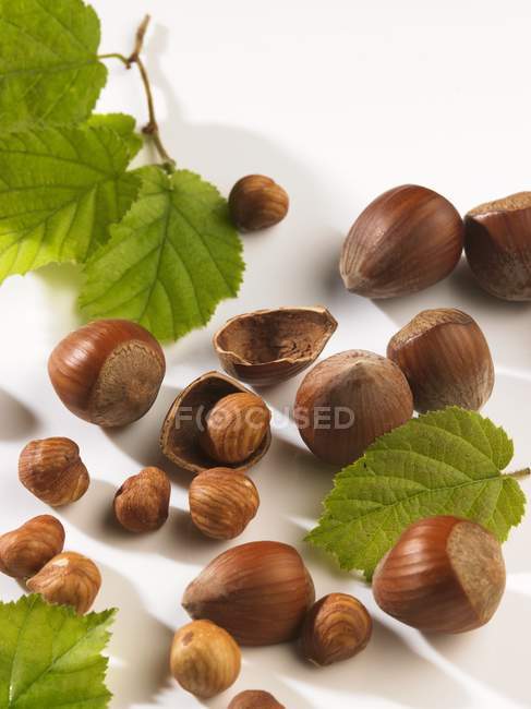 Shelled and unshelled hazelnuts — Stock Photo