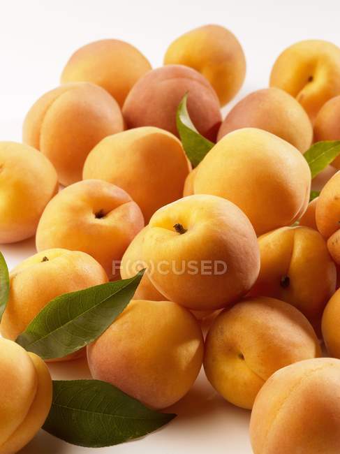 Стиглі свіжих абрикоси — стокове фото