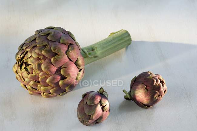 Purple artichoke with baby artichokes — Stock Photo