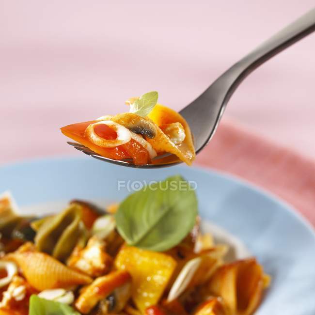 Spicy pasta shells with tomatoes — Stock Photo