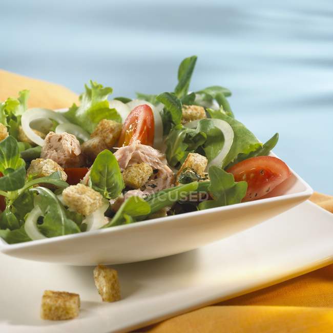 Итальянский салат с тунцом и гренками — стоковое фото