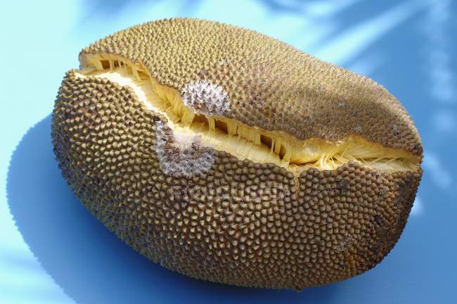 Primo piano vista di jackfruit sulla superficie blu — Foto stock