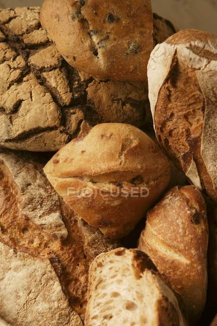 Pains de pain frais cuits au four — Photo de stock