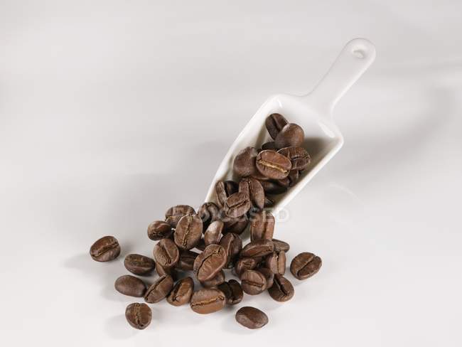 Chicchi di caffè e misurino di ceramica — Foto stock