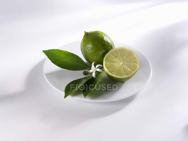 Limes with leaves and flower — Stock Photo