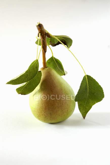 Fresh pear with leaves — Stock Photo