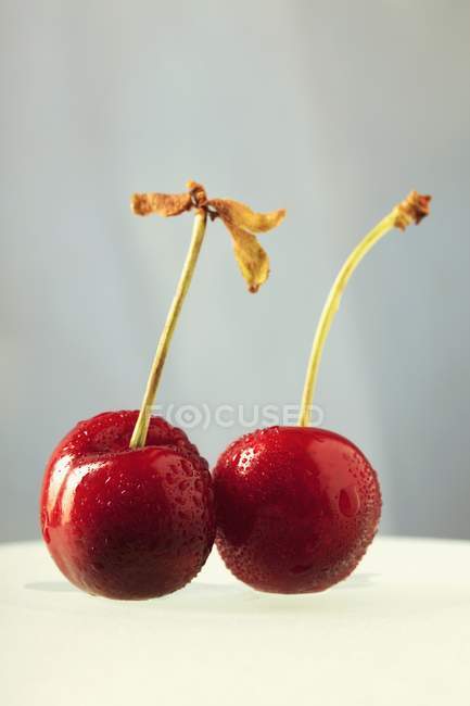 Dos cerezas con tallos - foto de stock