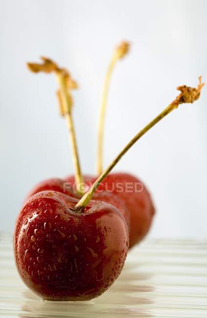 Three cherries with stalks — Stock Photo