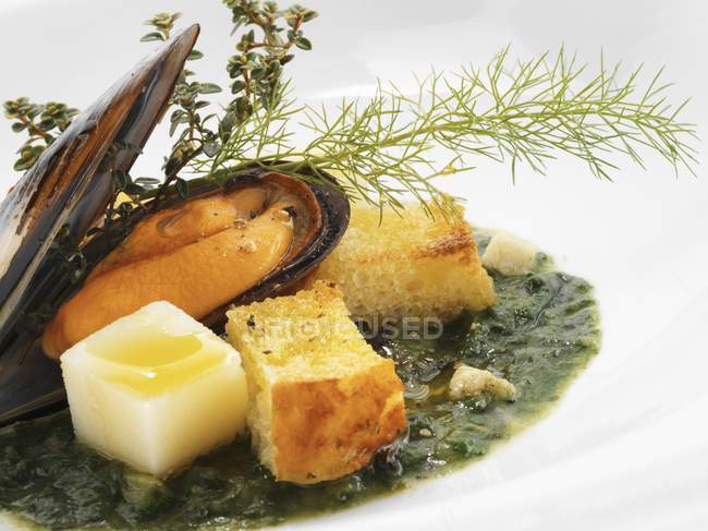 Mussel on chard with croutons — Stock Photo