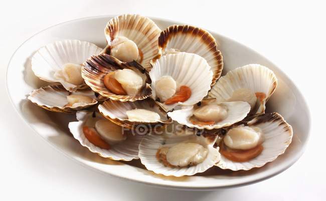 Closeup view of opened scallops in white dish — Stock Photo