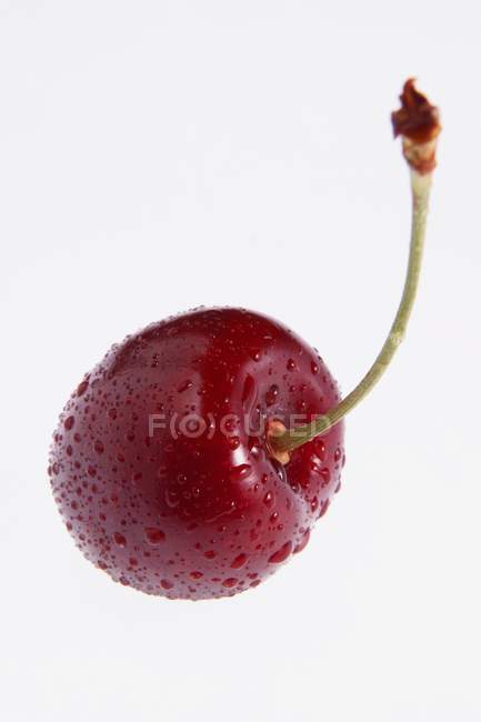 Fresh cherry with droplets of water — Stock Photo