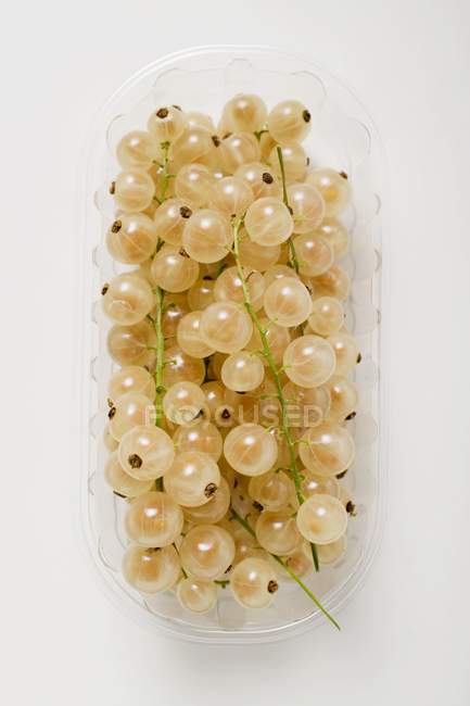 Ripe fresh white currants — Stock Photo