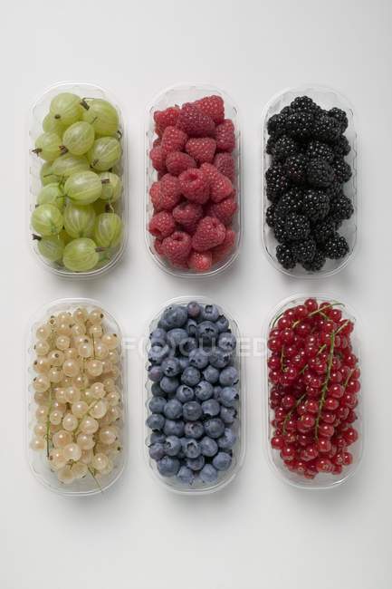 Plastic punnets of mixed summer berries — Stock Photo