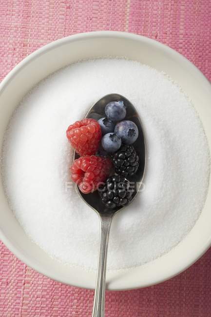 Spoonful of mixed berries in sugar — Stock Photo