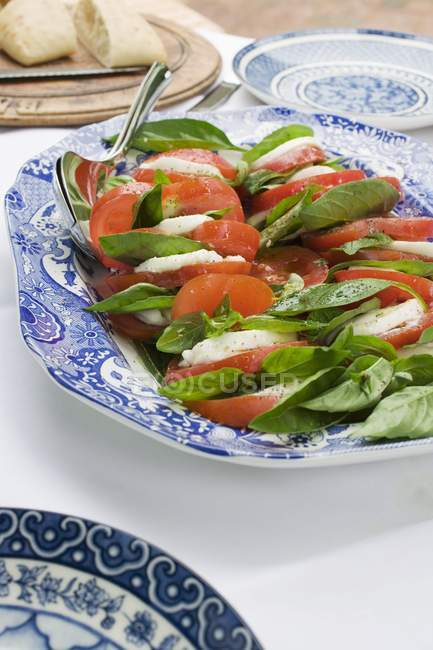 Pomodori e mozzarella con basilico — Foto stock