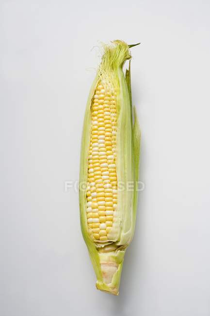 Кукурузный початок с шелухой — стоковое фото