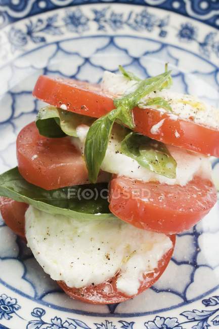 Tomaten und Mozzarella mit Basilikum — Stockfoto