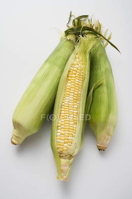 Trois épis de maïs avec écorces — Photo de stock