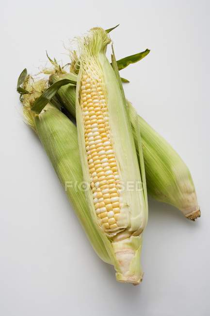 Tre pannocchie di mais con bucce — Foto stock