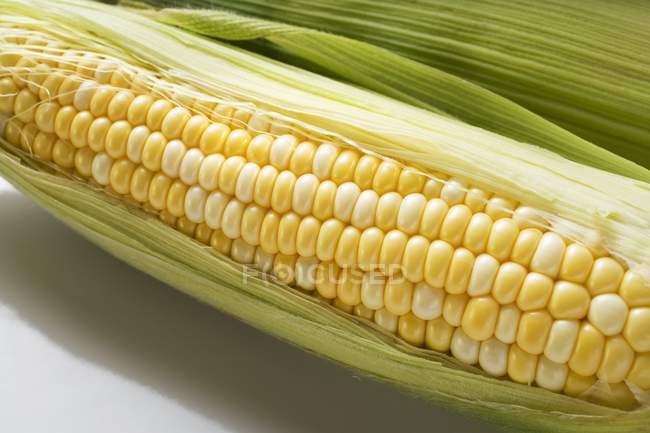 Mazorca de maíz con cáscaras - foto de stock