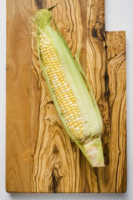 Кукурузный початок с шелухой — стоковое фото