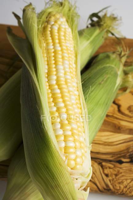 Three corn cobs with husks — Stock Photo