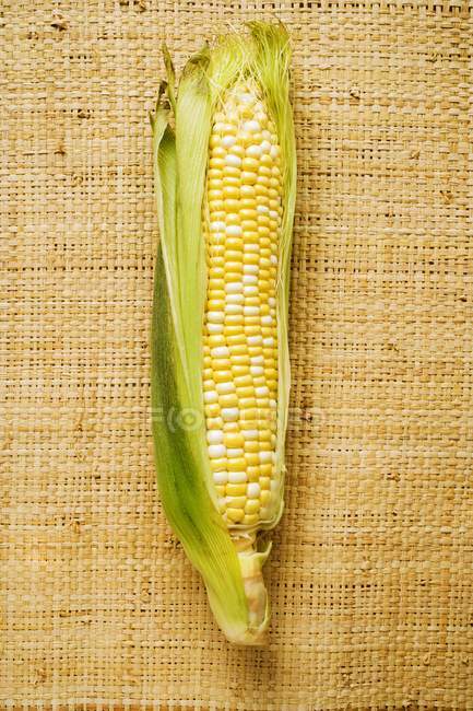 Кукурудзяний коб з лушпинням — стокове фото